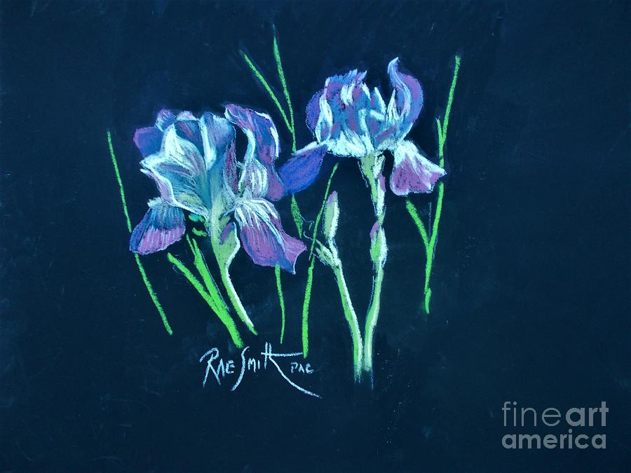 Iris  flowers  Pastel by Rae  Smith PAC