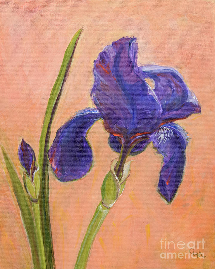 Iris from Mom Painting by Cheryl McClure