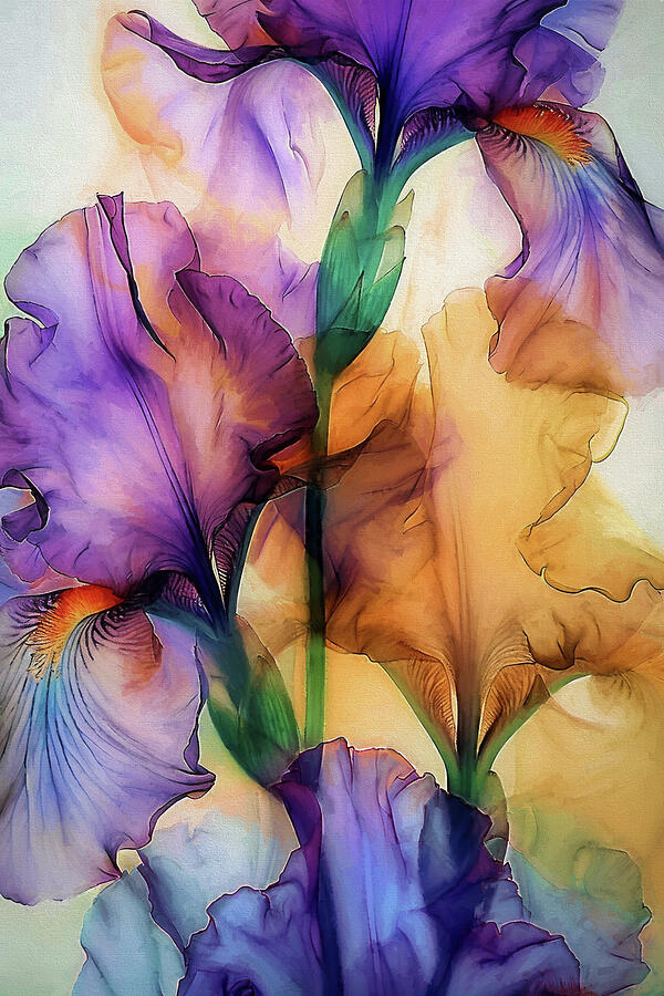 Iris Garden Digital Art by Peggy Collins