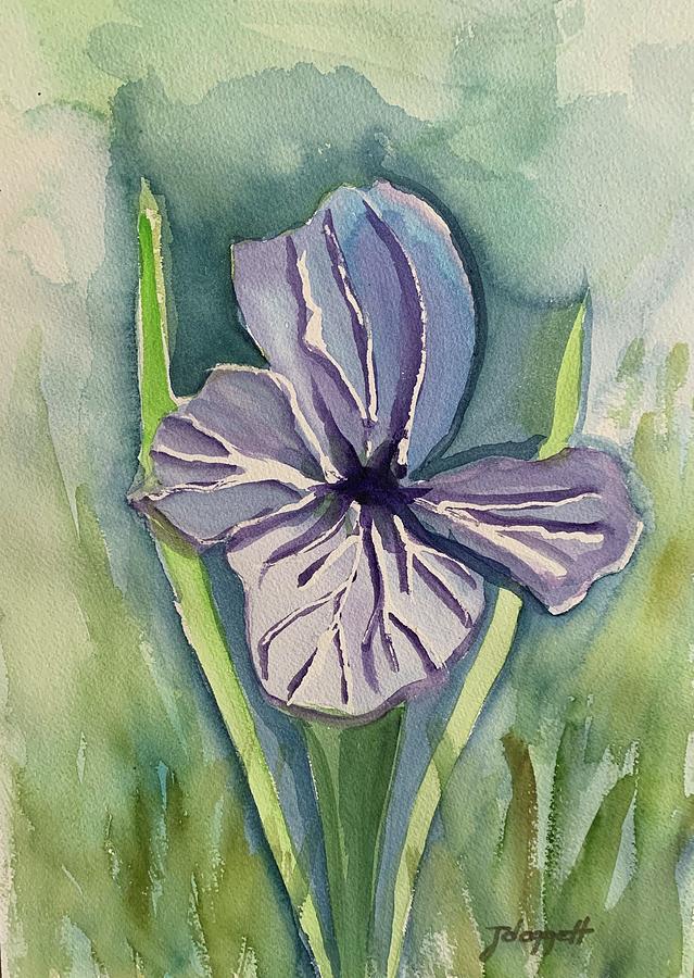 Iris Painting - Iris by Janet Doggett
