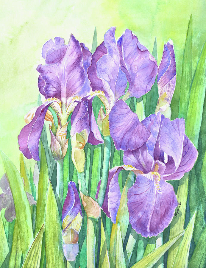 Iris Lily 1120 Painting by Jelly Starnes - Fine Art America