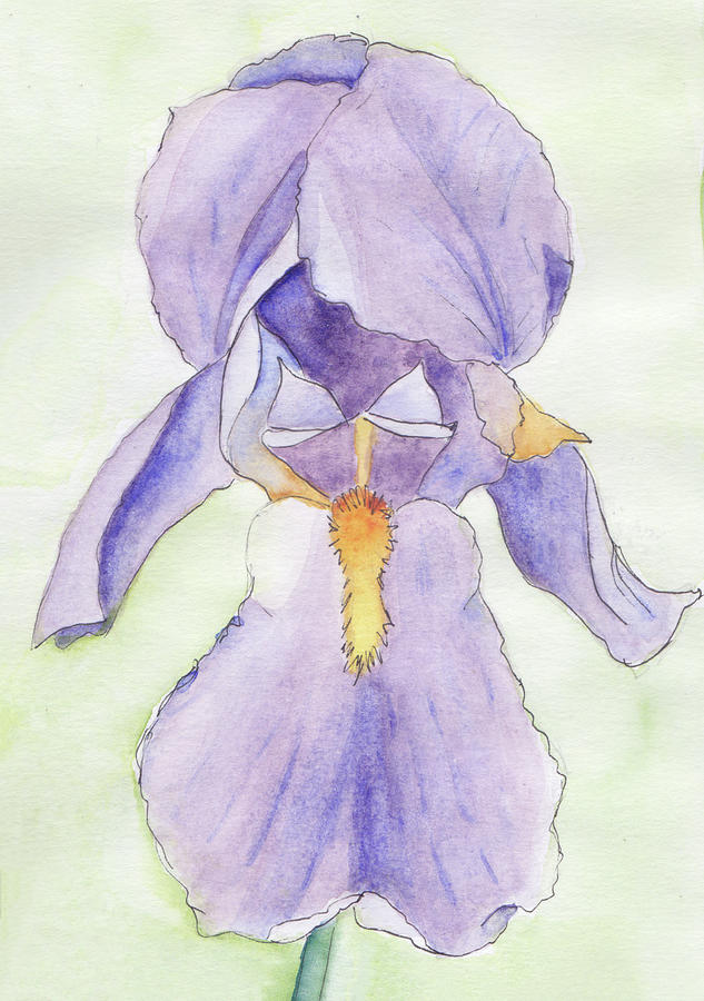 Iris Magic Painting by Anne Katzeff