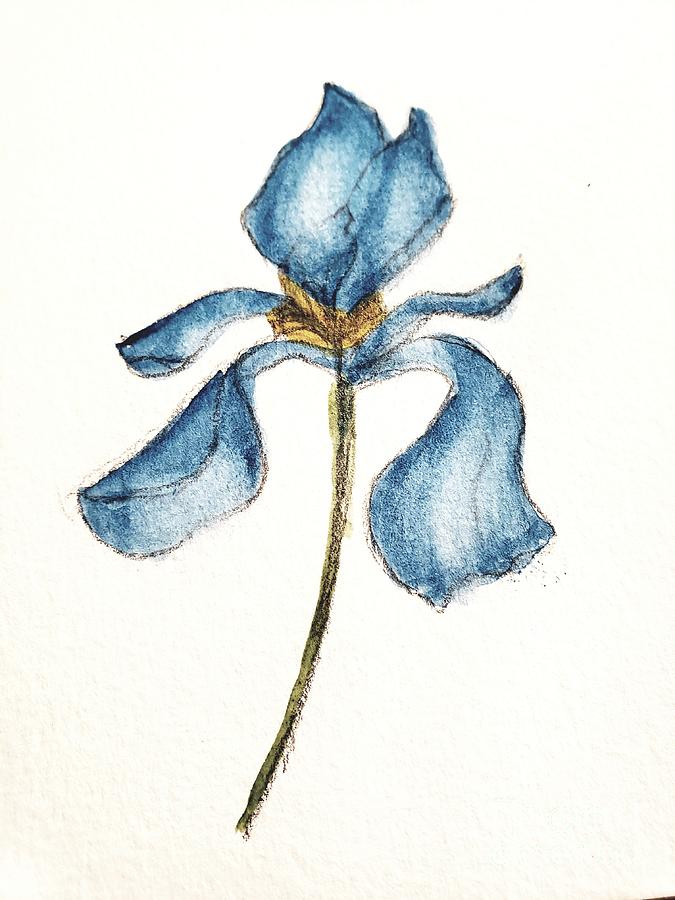 Iris Painting by Margaret Welsh Willowsilk
