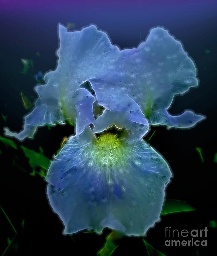 Iris Marvel Photograph by Luther Fine Art