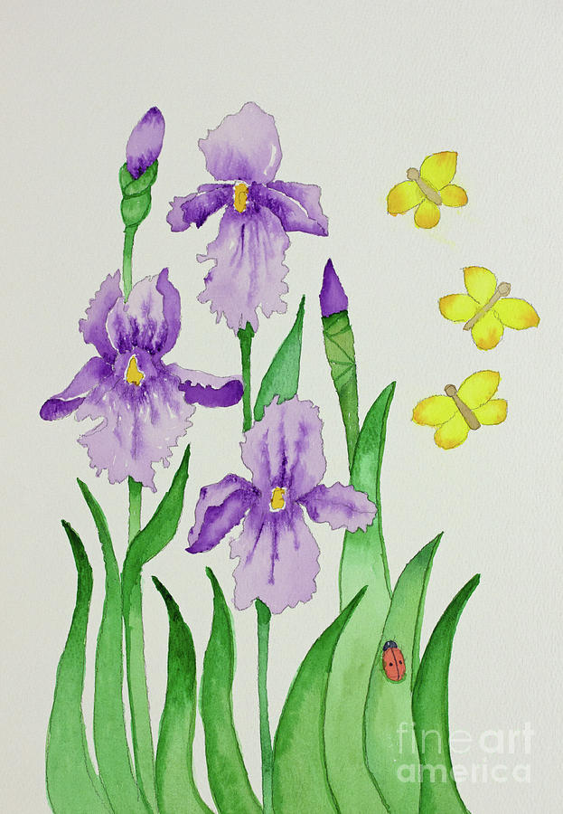 Iris Melody left side of pair Painting by Norma Appleton