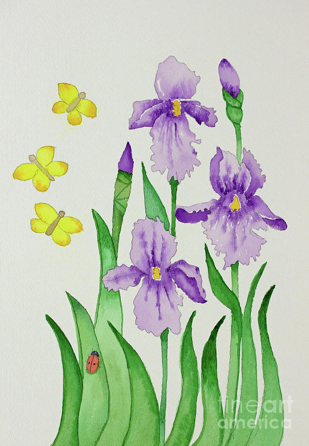 Iris Melody right side pair Painting by Norma Appleton