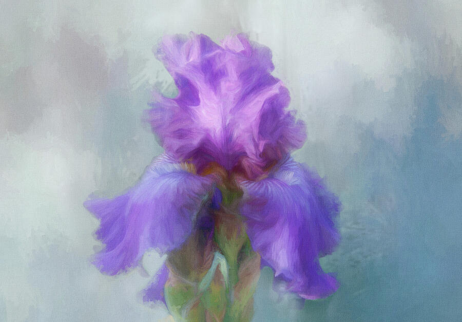 Iris Painting Digital Art by Terry Davis