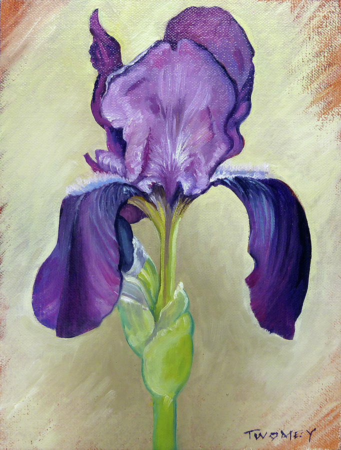 Iris Painting - Iris Portrait by Catherine Twomey