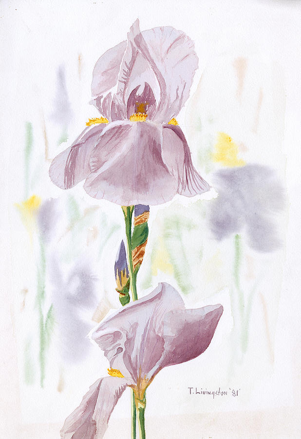 Iris Painting by Timothy Livingston