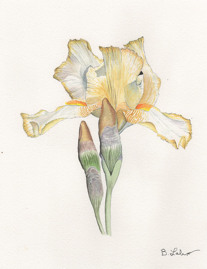 Iris with a Midas Touch Painting by Bob Labno