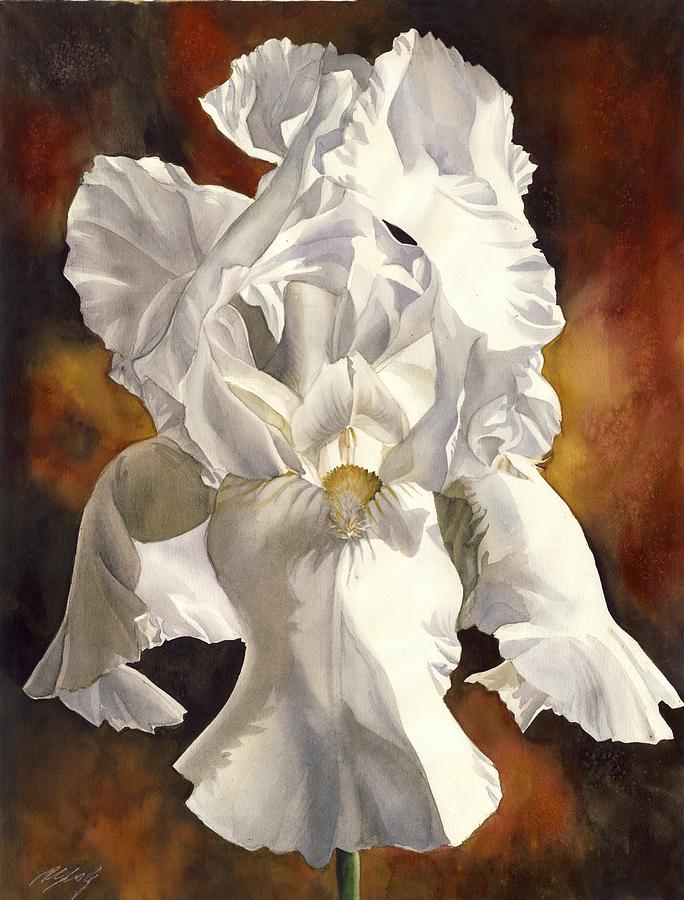  White Iris With Red Painting by Alfred Ng