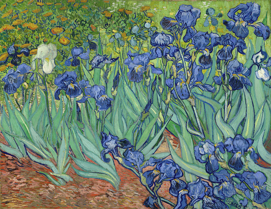 Irises, 1889 Painting by Vincent van Gogh