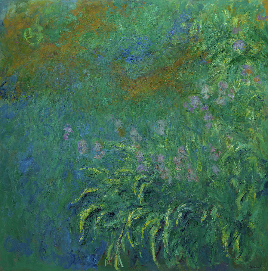 Irises, 1914-1917 Painting by Claude Monet - Pixels