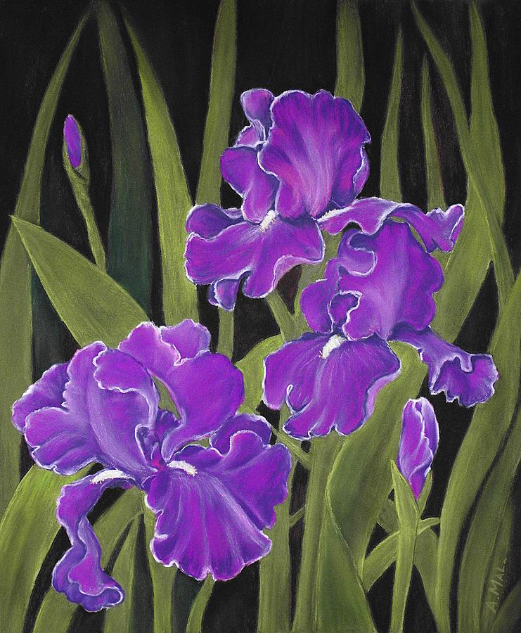 Irises Painting by Anastasiya Malakhova
