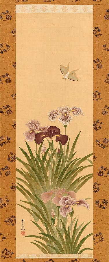 Irises and Moth  Painting by Suzuki Kiitsu