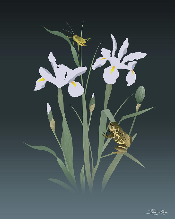 Flower Digital Art - Irises and Stalking Frog by M Spadecaller