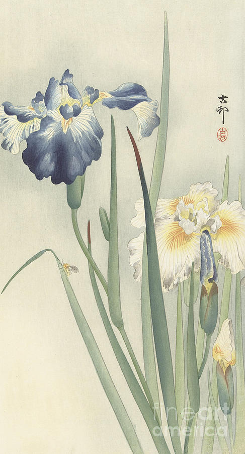 Irises by Ohara Koson Painting by Ohara Koson