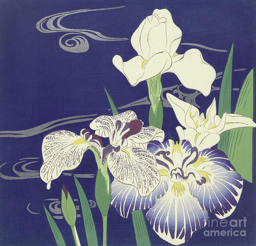 Irises by Tsukioka Kogyo Painting by Tsukioka Kogyo