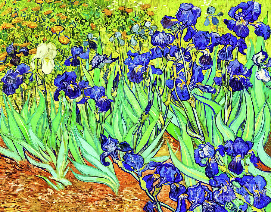 Irises by Vincent Van Gogh 1889 Painting by Vincent Van Gogh