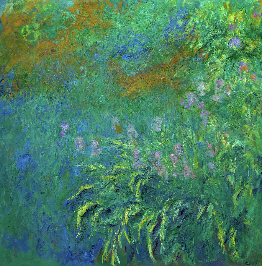 Irises, date 1914-1917 Painting by Claude Monet - Fine Art America