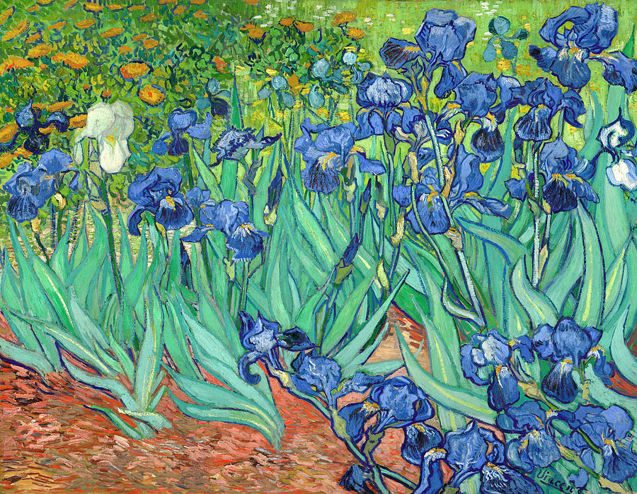 Irises. Date/Period 1889. Painting. Oil on canvas. Painting by Vincent Van Gogh