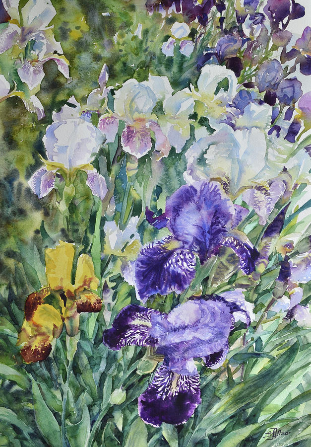 Irises field Painting by Arina Norloguyanova | Fine Art America