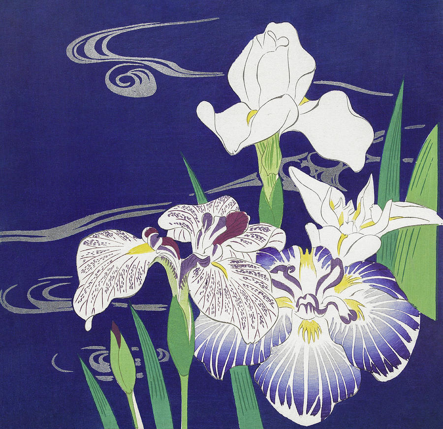 Irises Mixed Media by World Art Collective