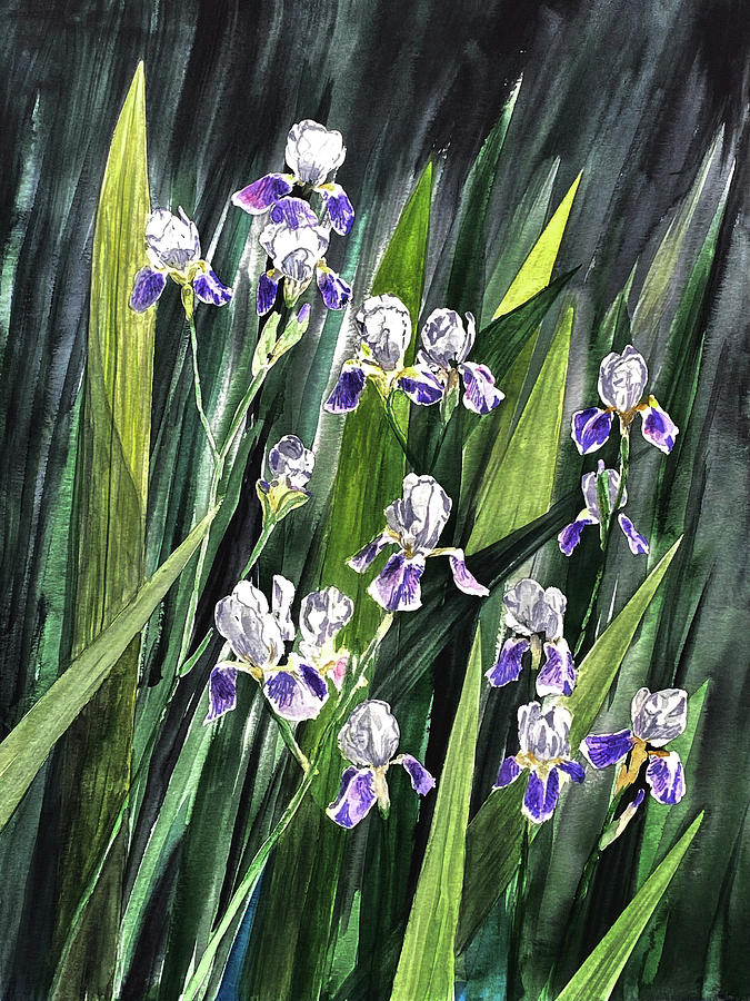 Nature Painting - Irises by Masha Batkova