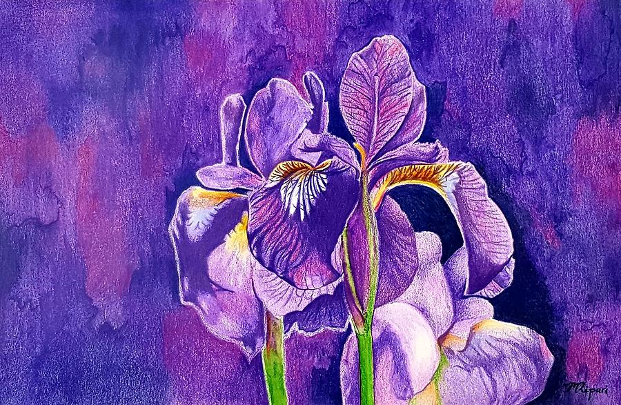Iris Drawing - Irises by Michelle Ripari Iris Drawing - Irises by Michelle Ripari