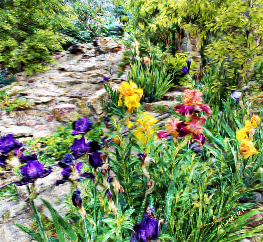 Irises on a Breezy June Day Mixed Media by Anastasia Savage Ealy