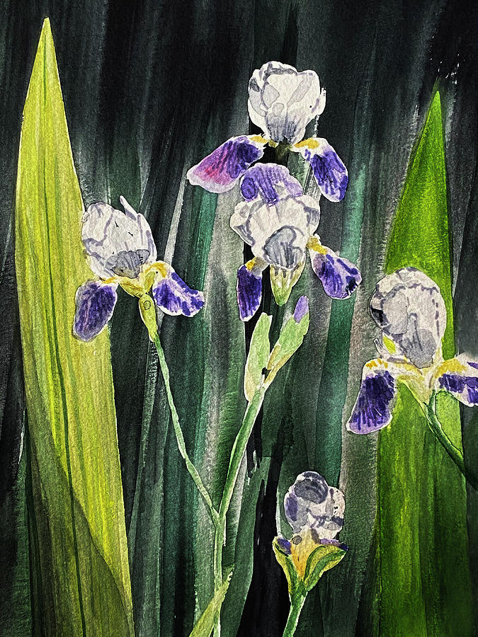 Irises on Dark Painting by Masha Batkova