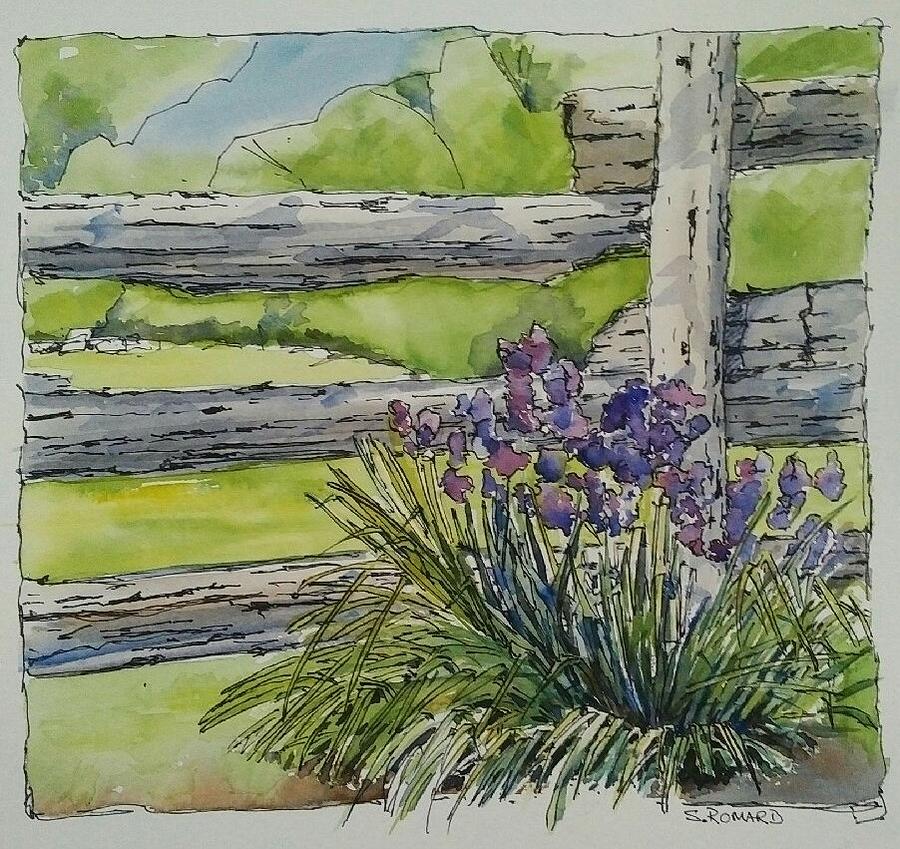 Irises Painting by Sheila Romard