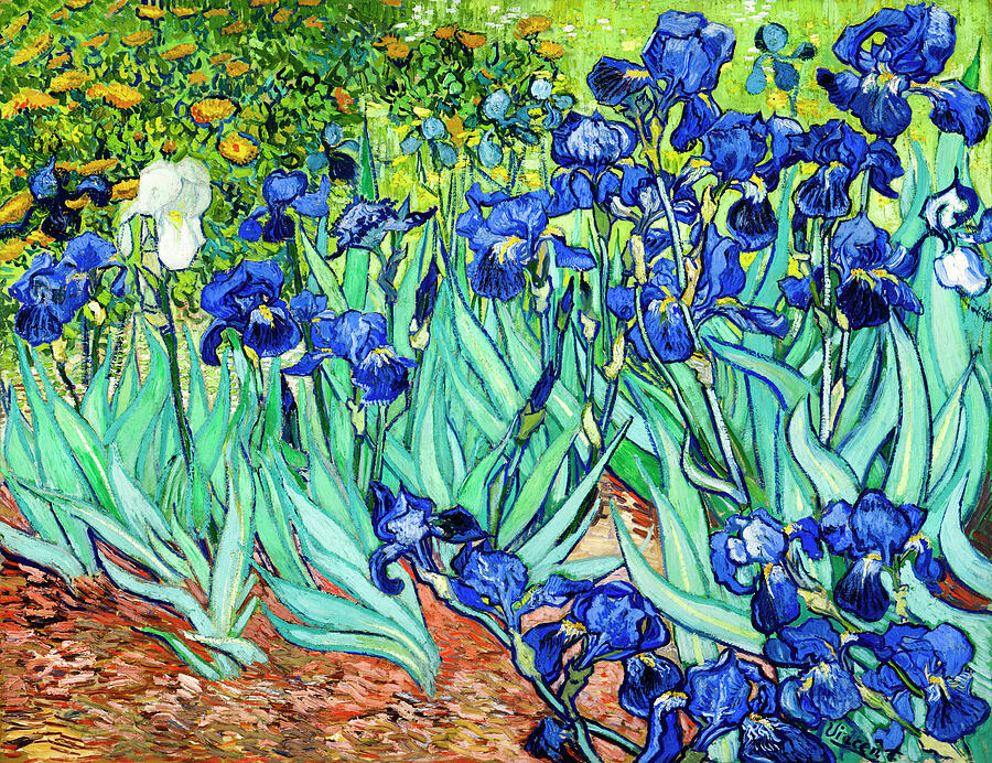 Iris Painting - Irises 1889 by Vincent van Gogh by Vincent van Gogh