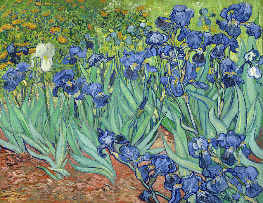Vincent Van Gogh Painting - Irises In The Garden by Vincent Van Gogh by Mango Art