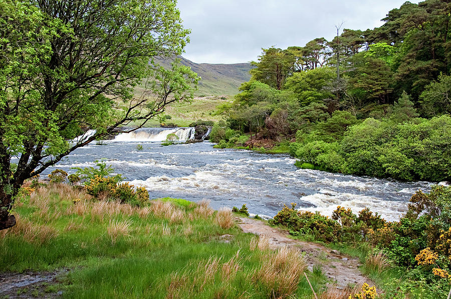 Irish Countryside 2 Photograph by Jill Love Irish Countryside 2 Photograph by Jill Love