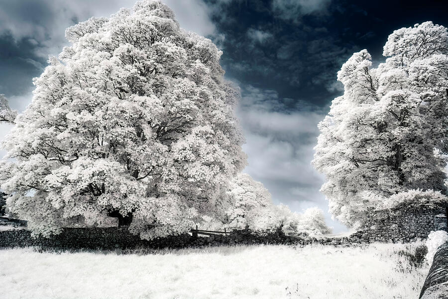 Irish Countryside Infrared Photograph by Tracy Munson