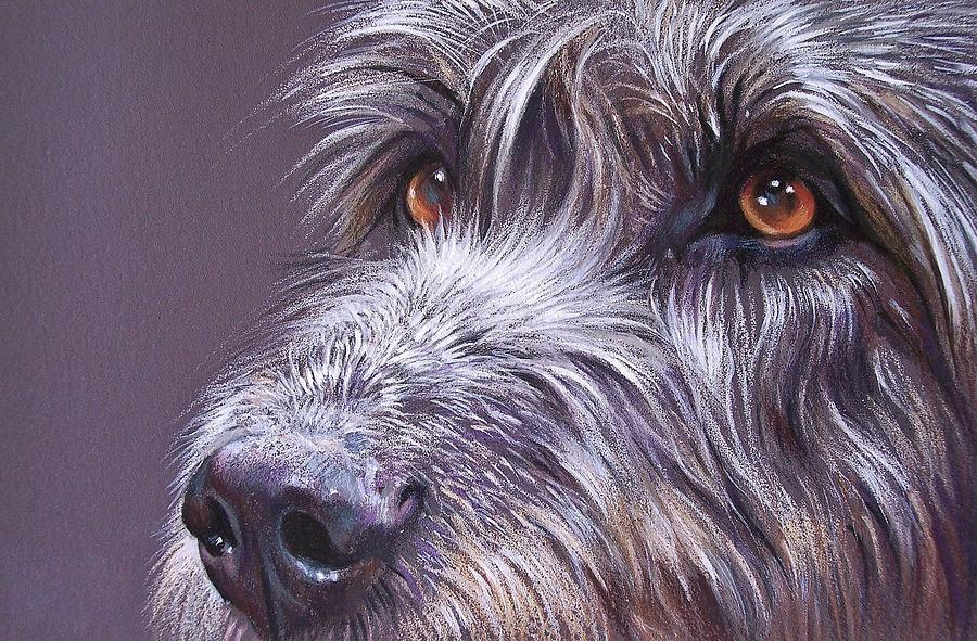 Dog Drawing - Irish eyes by Elena Kolotusha
