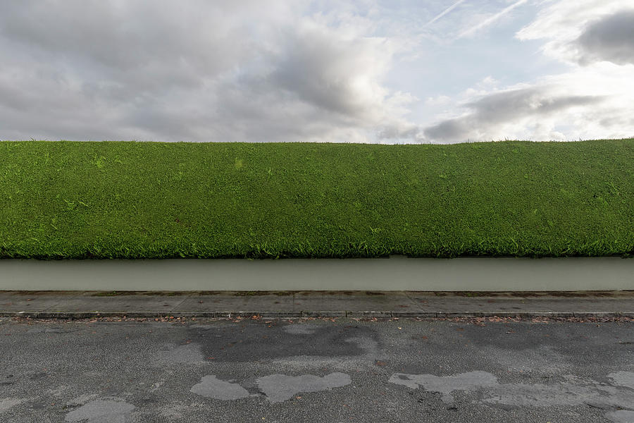 Irish Hedge Photograph by Stuart Allen