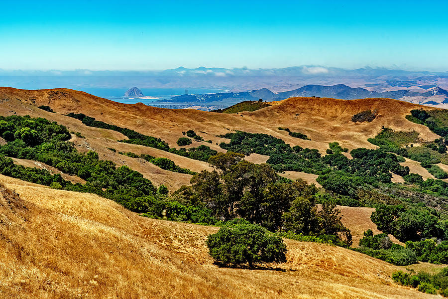 Irish Hills - San Luis Obispo - California Photograph by Nikolyn McDonald