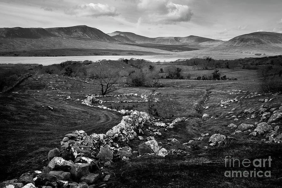 Irish landscape Photograph by Bo Scheeringa - Fine Art America