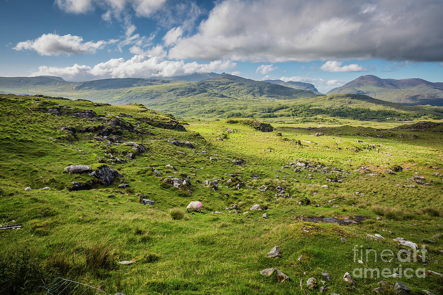 Landscape Photograph - Irish Landscape on the Ring of Kerry by Eva Lechner