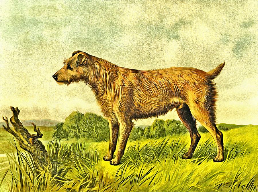 Irish Terrier Dog Pr Digital Art