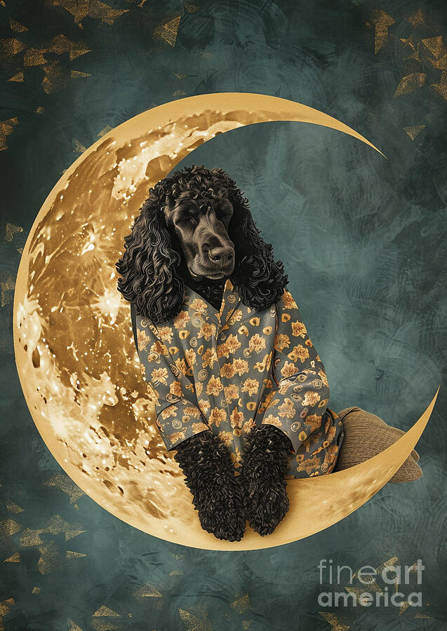 Irish Water Spaniel Wearing Pajamas Iv On A Crescent Moon Painting