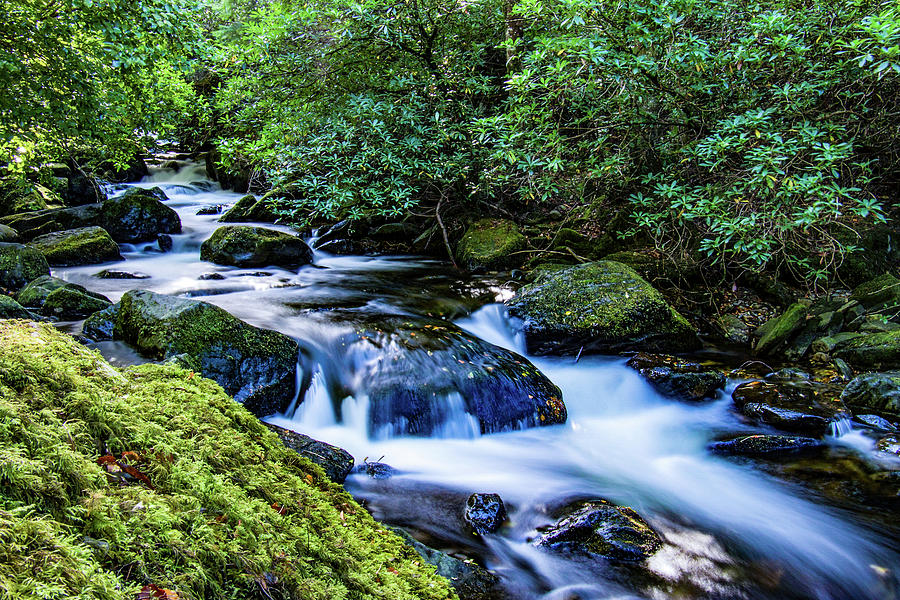 Irish Waterfall Photograph by Katie Whitt - Fine Art America