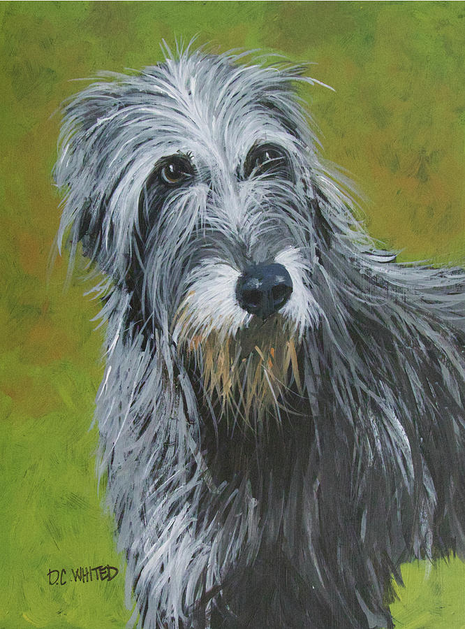 Irish Wolfhound Painting by Dave Whited | Fine Art America