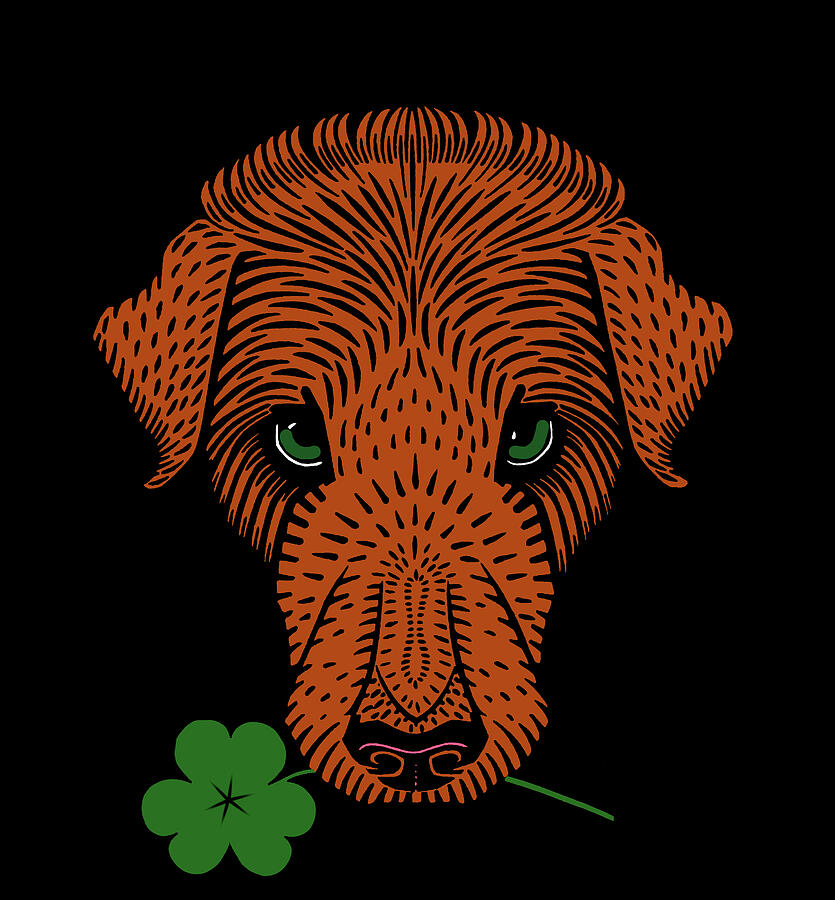 Irish Wolfhound with Shamrock  Digital Art by Shelli Fitzpatrick