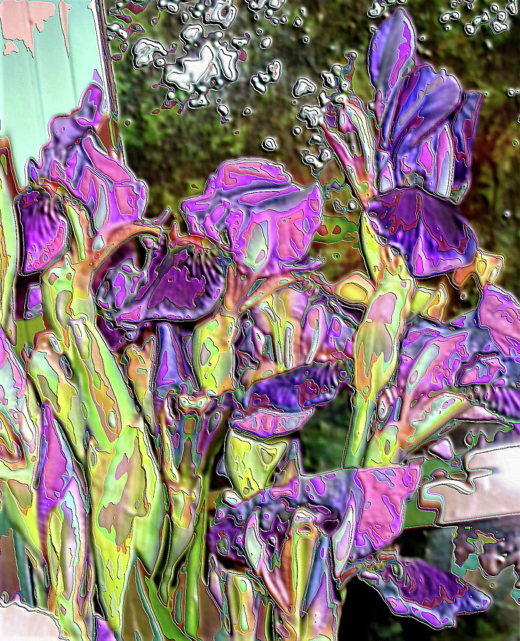 Iriss on the Window Sill #6 Digital Art by Vickie G Buccini