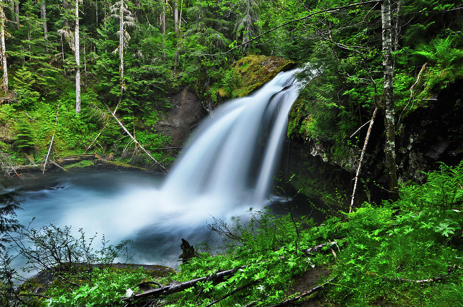 Iron Creek Falls Photograph by James F Avery - Fine Art America