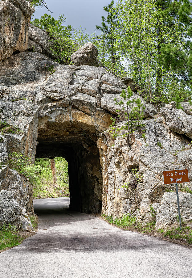 Iron Creek Tunnel Black Hills South Dakota Photograph by Joan Carroll