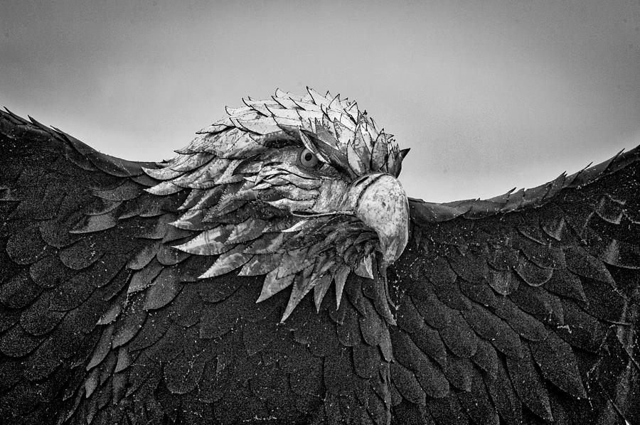 Iron Eagle Photograph by Marvin Borst Fine Art America